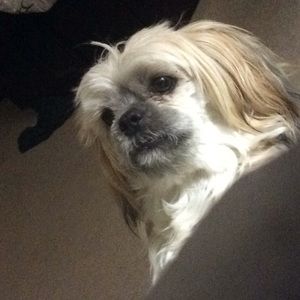 Meet your Posher, Rhonda